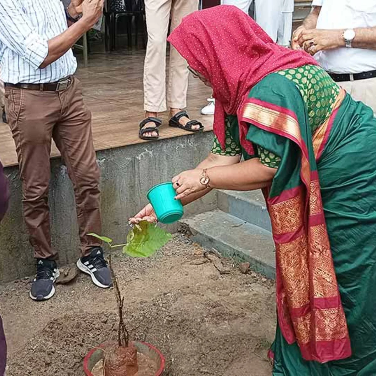 Environment 2024