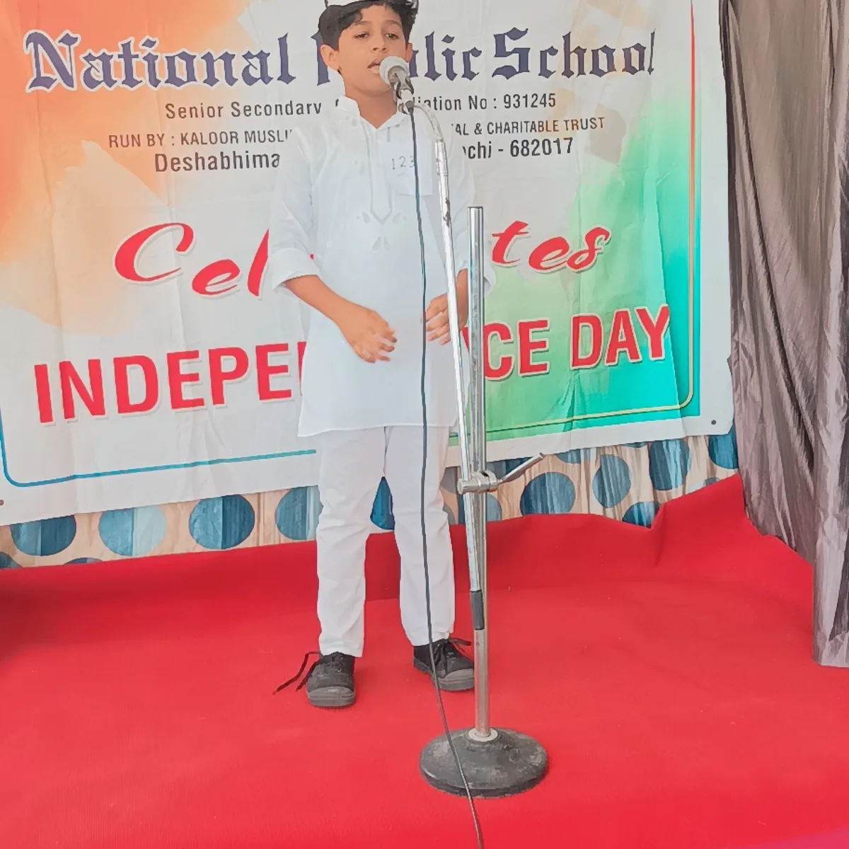 Independence Day 8