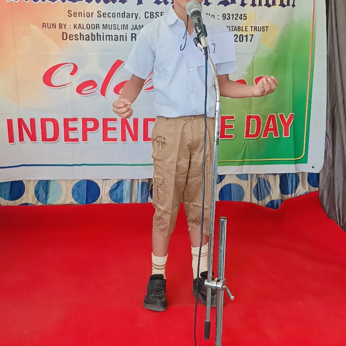 Independence Day 27